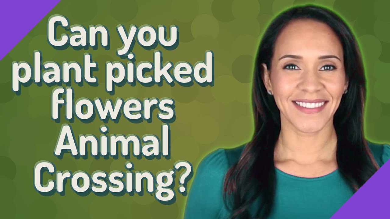 Can you plant picked flowers Animal Crossing?