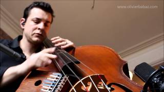 Stairway to heaven - Olivier Babaz - Double Bass & Kalimba chords