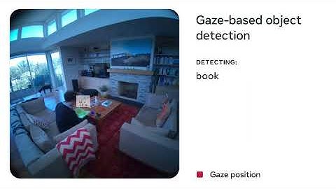 Meta Segment Anything Model Example - Identifying Objects in Video Footage