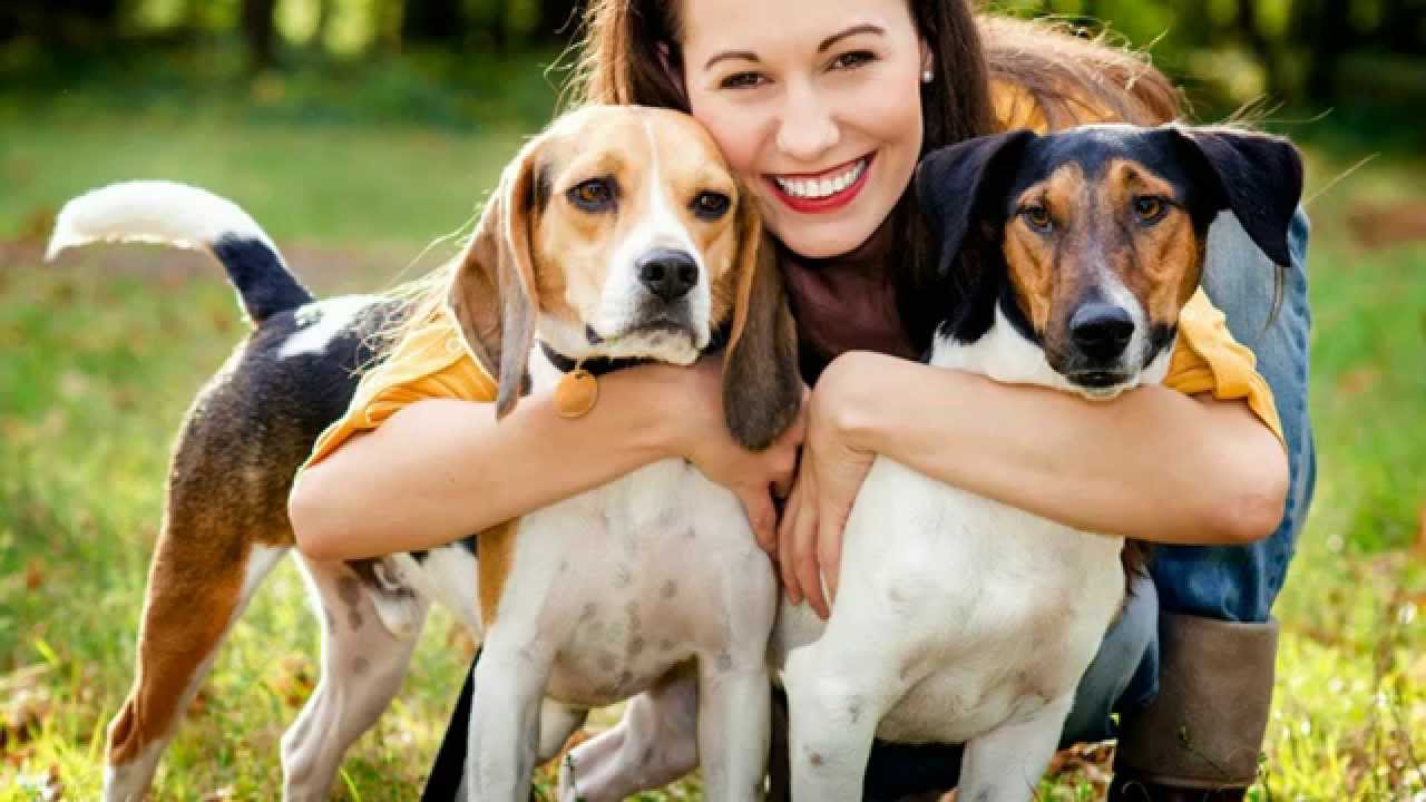 Pet Friendly | Wyndhaven Apartments for Rent in Mesa, AZ