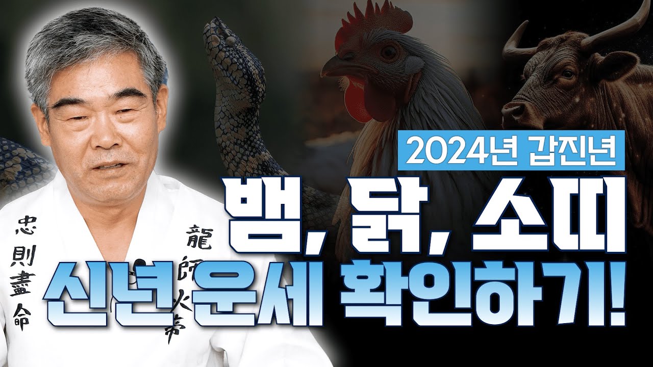 [대성TV📺] 2024년 갑진년 뱀띠, 닭띠, 소띠의 신년 운세 확인하고 가세요!【경기광주 용한 무당 천명암 법사 정명환 ...