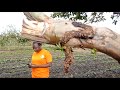 Dziko La Mkaka Ndi Uchi - 20 October 2022