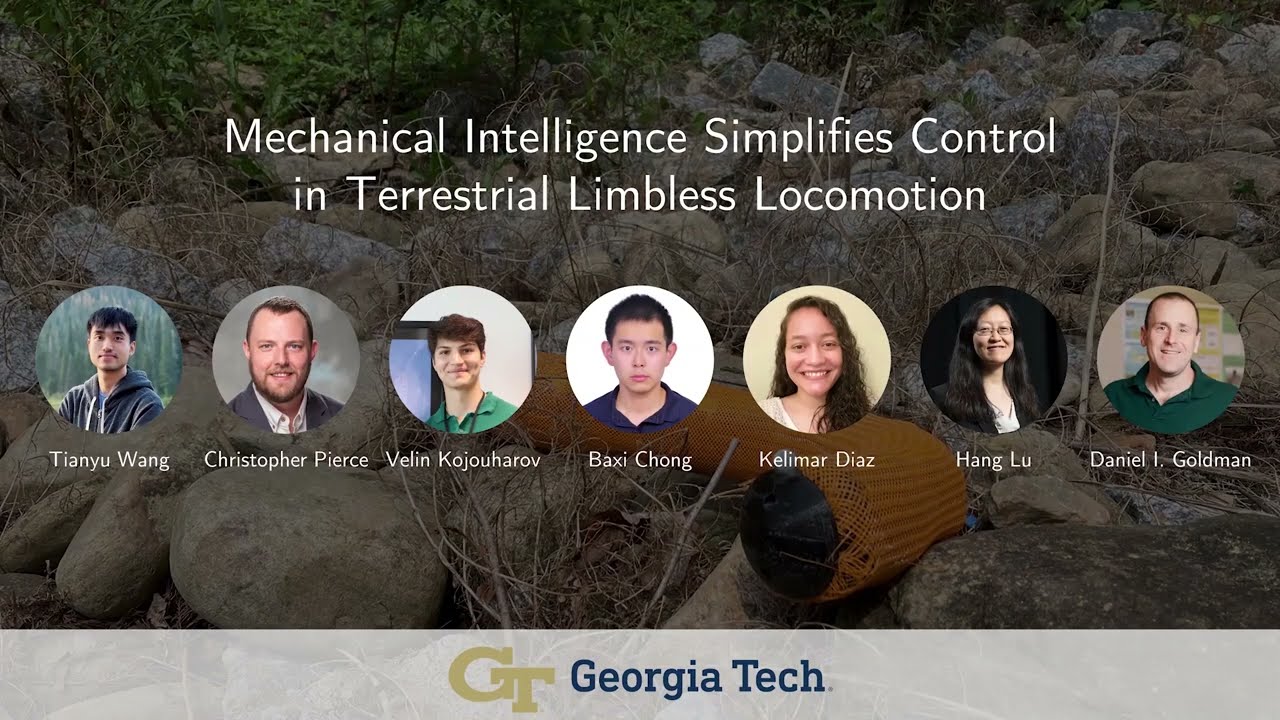 Mechanical intelligence simplifies control in terrestrial limbless locomotion -- Paper summary video