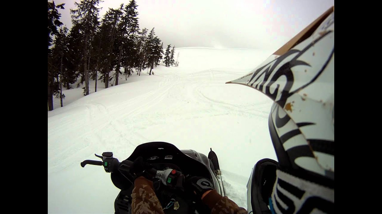 2001 mountaincat 800