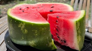 Eating Raw Vegan In California Is Not For The Weak + my wedding announcement 