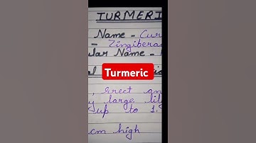 #bsc#botany#ocimum sanctum #tulsi#curcuma longa#haldi #practical#handwritten#notes #shortvideos💯💫👍