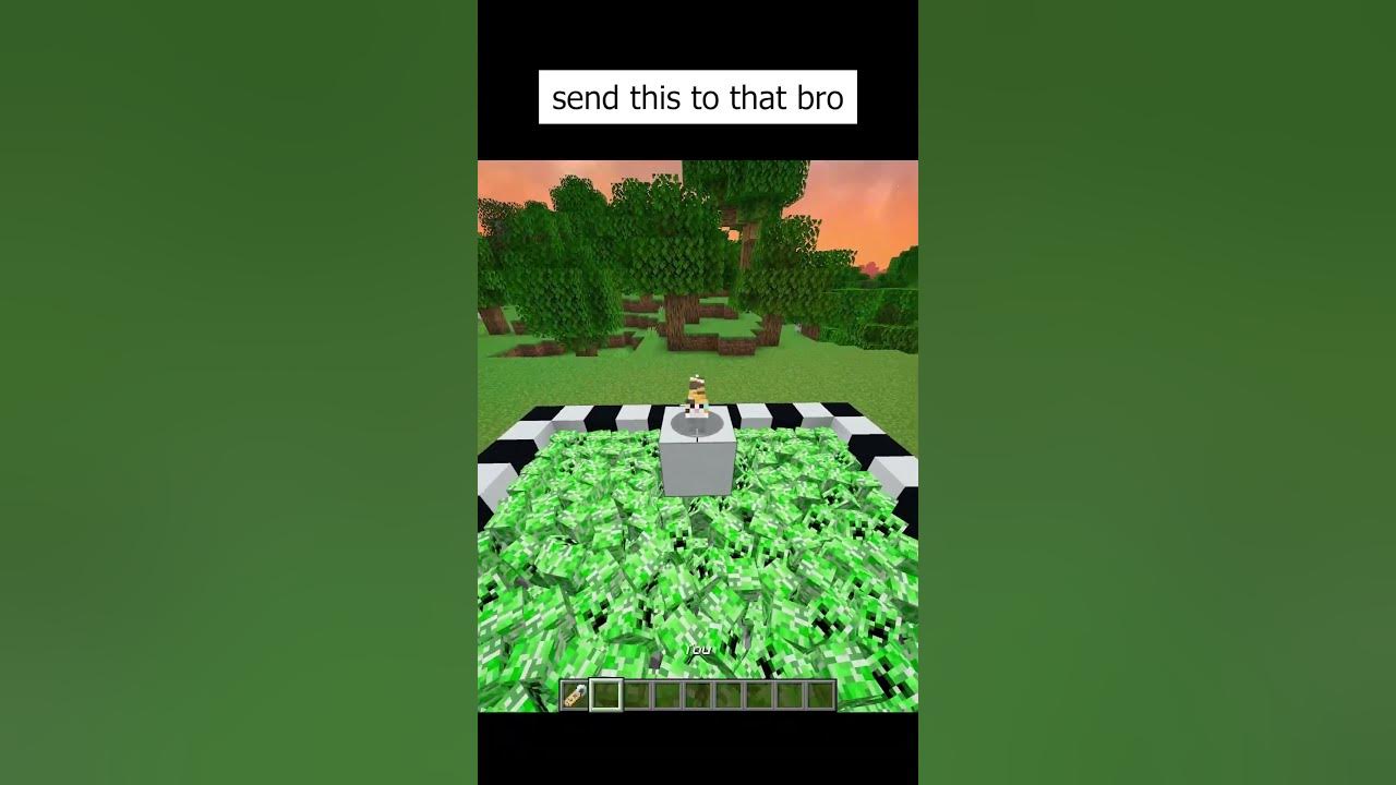 send+this+to+that+bro+😂#shorts+#minecraft+#minecraftmemes - YouTube
