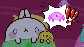 Watch out for Molang and Piu Piu, a spider!  | Funny Compilation For Kids