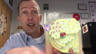 Osteon Model