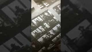 Celebrity Luke Steele Profile