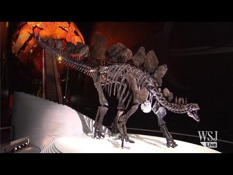ステゴサウルス (STECOSAURUS) BRITISH MUSEUM ステゴサウルス