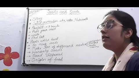 Class 5 EVS "Seeds and Seeds" Part 1