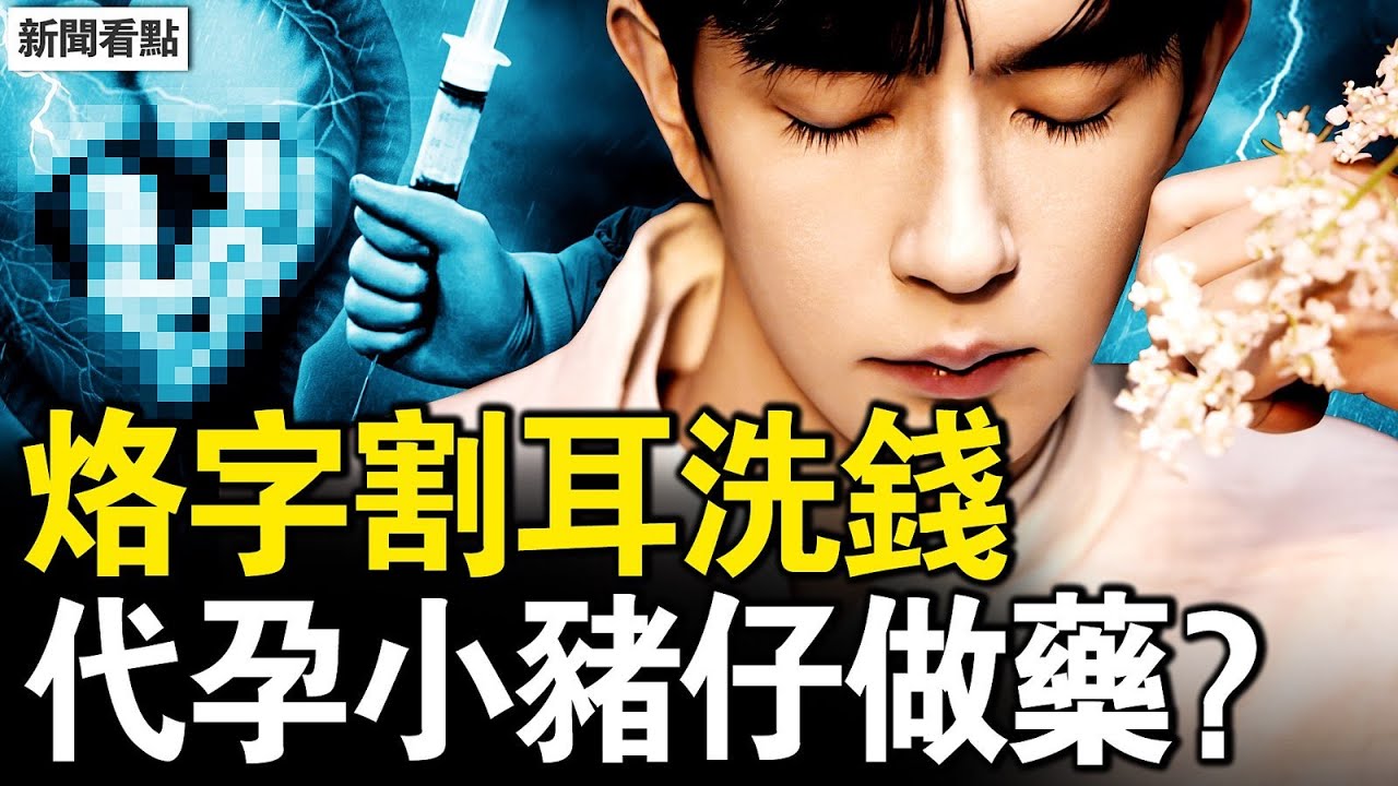 數百億外流澳洲；于朦朧曾被殘酷對待。辛奇早就要捕于？「紅毛」公然極端言論，電詐園深度曝光非法代孕產物竟被當作交易工具【新聞看點 李沐陽11.17】