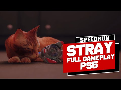 STRAY (PS5) in 1 Hour 38 Minutes Speedrun | Final Trophy