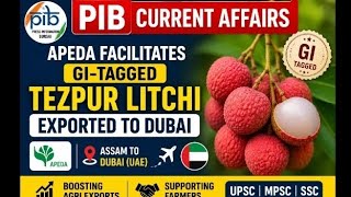 Assam's GI-Tagged Tezpur Litchi Reaches Dubai 🇦🇪 | APEDA Success Story | PIB Current Affairs