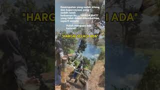 Download Lagu Hargai Selagi Ada #shorts #quotes MP3