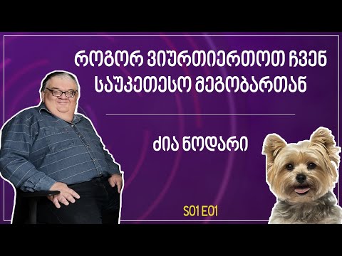 როგორ ვიურთიერთოთ ჩვენ საუკეთესო მეგობართან | ძია ნოდარი - თურმე - S01E01