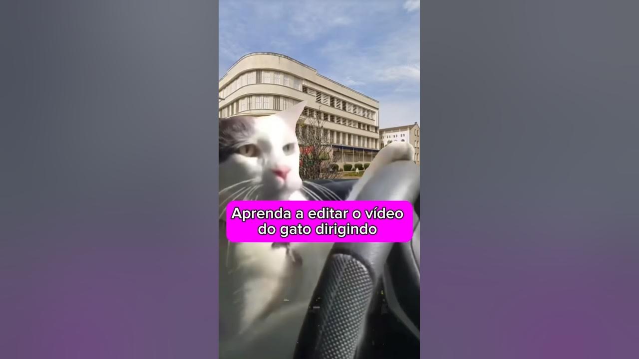 CapCut_como ganhar o jogo do gato