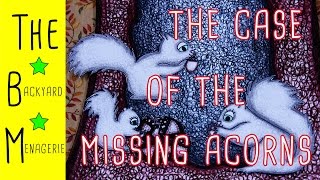 &quot;The Case of the Missing Acorns&quot; (STORY FOR KIDS!)