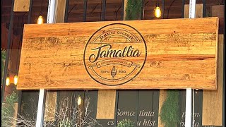 Tamales Gourmet - Tamallia