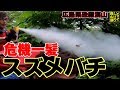 【登山】2/4～スズメバチ襲来＆撃退！～恐羅漢山(広島島根最高峰)