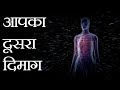 जानिए क्यों आपके पेट को 'दूसरा मस्तिष्क' भी कहा जाता है | Science of Second Brain - The Gut Feeling