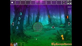 Big Fantasy Forest Land Escape Walkthrough [BigEscapeGames] screenshot 3