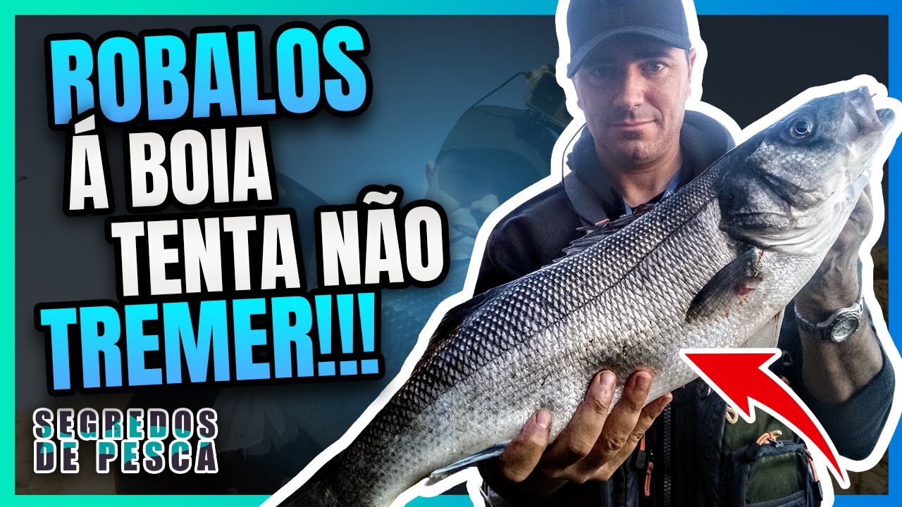 Se este vídeo não te fizer vibrar, não és humano!!! Robalos á boia