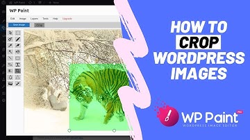 How to Crop WordPress Images using WP Paint / WP Paint Pro