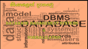 Introduction to DBMS and Normalization (1NF, 2NF & 3NF) | Sinhala