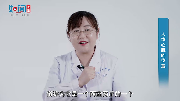 【心内科】人体心脏的位置