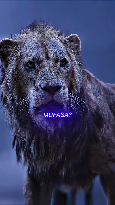 Scar Blind By Hatred #lionking #mufasa #thelionking