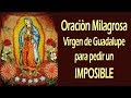 Oración Milagrosa a la Virgen de Guadalupe para pedir un imposible