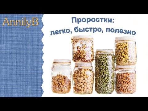 &#55357;&#56396; Легкий способ проращивания злаков/семян. Проростки, Микрозелень! &#55356;&#57155;&#55356;&#57155;&#55356;&#57155;