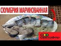 СКУМБРИЯ МАРИНОВАННАЯ 🚦🚦🚦 ТЕСТИРУЮ СКУМБРИЮ ЗА 130 Р🔥ИЗ МАГАЗИНА СВЕТОФОР🔥🔥🔥