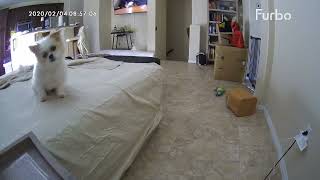 Please Ignore The Mess