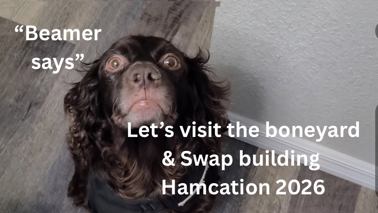 Take a walk on the wild side @ Hamcation 2026