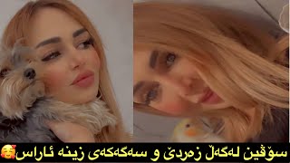 سۆڤین لەگەڵ زەردێ و سەگەکەی زینە ئاراس?soven salih