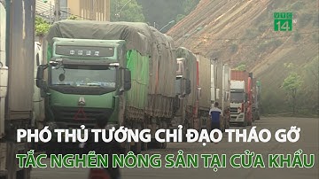 Tắc nghẽn nông sản tại cửa khẩu, Phó Thủ tướng yêu cầu các bộ tháo gỡ | VTC14