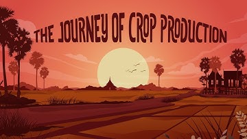 The journey of crop production