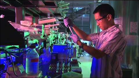 Finding Solutions at Stanford