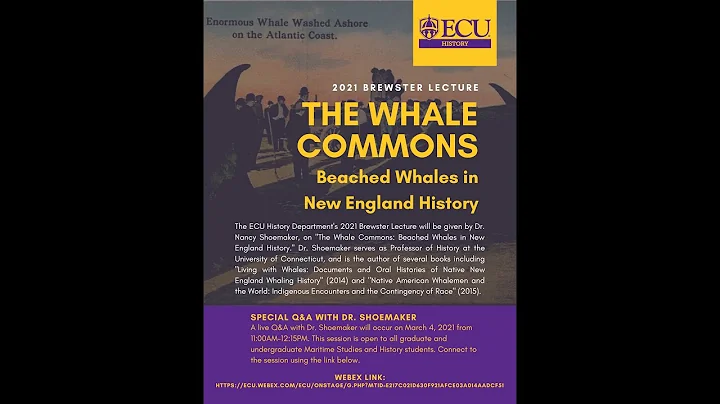 The Whale Commons Beached Whales in New England Hi...