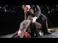 Miniature de la vidéo de la chanson Dans Met Mij Deze Tango