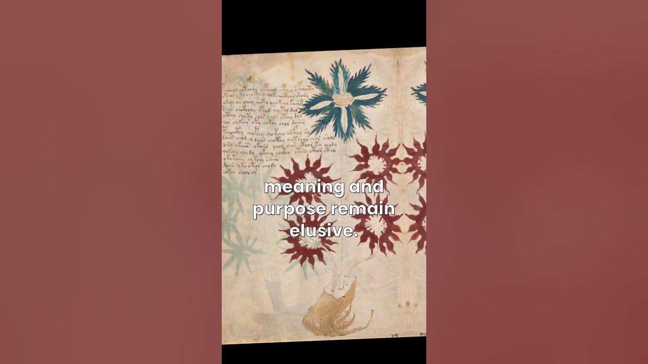 The Most Mysterious Book In The World YouTube the-most-mysterious-book-in-the-world-youtube