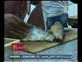#الستات_مايعرفوش_يكدبوا نصائح الفسخانية للمواطنين في