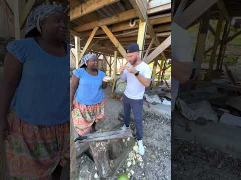 🇧🇿 How to Eat Coconut Meat in Placencia Belize #shorts