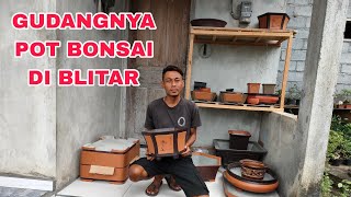 CEK HARGA POT BONSAI DI RUMAH MAS AGUS HAKA