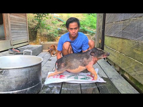 Video: Cara Memasak Babi Babi Besar