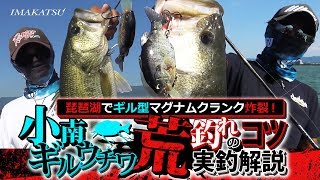 琵琶湖でギル型マグナムクランク炸裂！「小南ギルウチワ」荒釣れのコツを実釣解説
