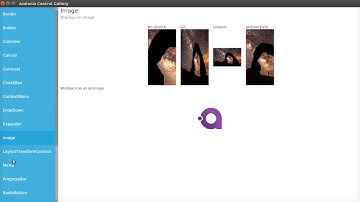 Avalonia Control Gallery (beta1, 2018-02-18)